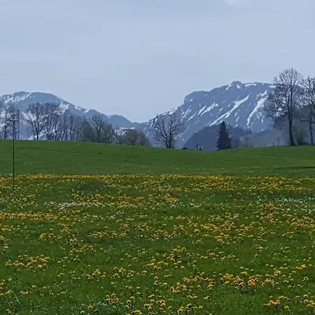 Apartment Ferienapartment Wanderpause Nesselwang